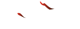 VulkanLAN
