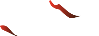 VulkanLAN